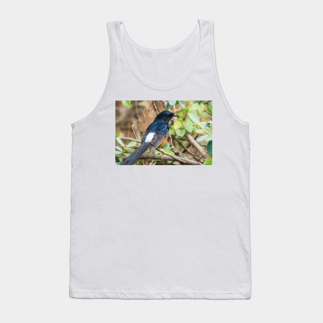 White-rumped shama Tank Top by KensLensDesigns